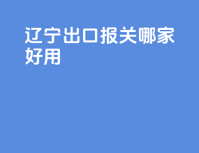 辽宁出口报关哪家好用
