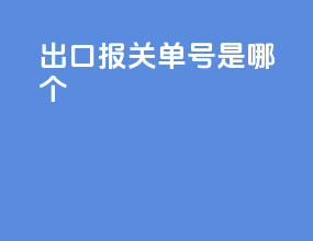 出口报关单号是哪个