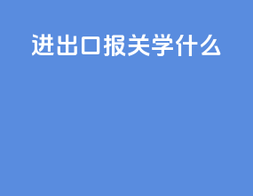 进出口报关学什么