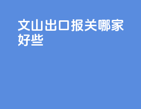 文山出口报关哪家好些