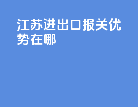江苏进出口报关优势在哪
