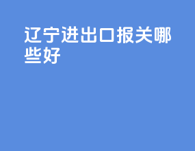辽宁进出口报关哪些好