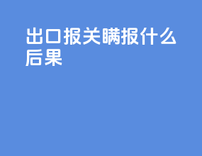 出口报关瞒报什么后果