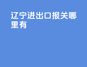 辽宁进出口报关哪里有