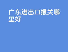 广东进出口报关哪里好