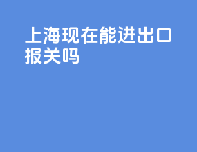 上海现在能进出口报关吗