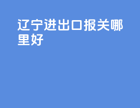 辽宁进出口报关哪里好