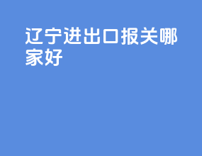 辽宁进出口报关哪家好