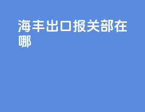 海丰出口报关部在哪