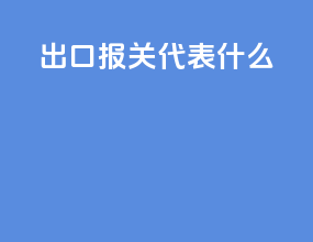 出口报关r代表什么