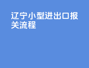 辽宁小型进出口报关流程