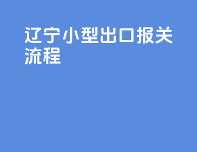 辽宁小型出口报关流程