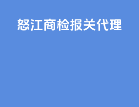 怒江商检报关代理