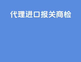 代理进口报关商检