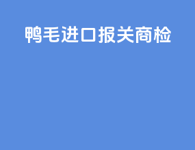 鸭毛进口报关商检