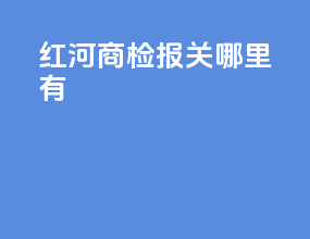 红河商检报关哪里有