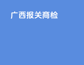 广西报关商检