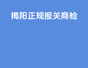 揭阳正规报关商检