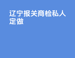 辽宁报关商检私人定做