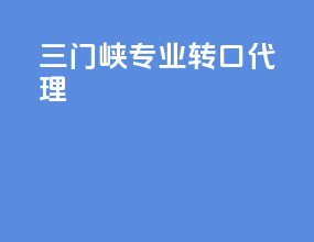 三门峡专业转口代理