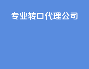 专业转口代理公司
