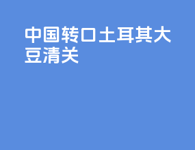 中国转口土耳其大豆清关