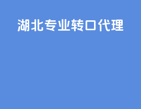 湖北专业转口代理