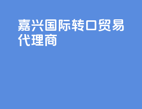 嘉兴国际转口贸易代理商