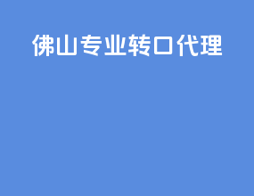 佛山专业转口代理