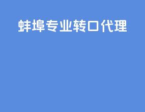 蚌埠专业转口代理