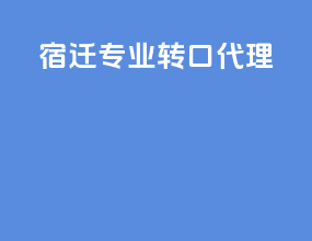 宿迁专业转口代理