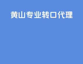 衡水专业转口代理