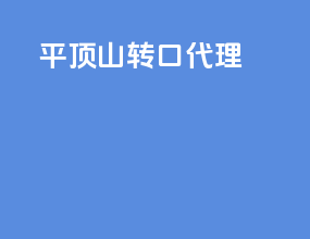 平顶山转口代理