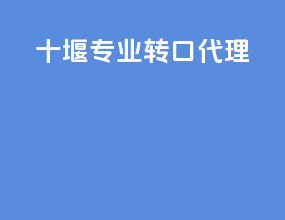 十堰专业转口代理
