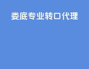 娄底专业转口代理