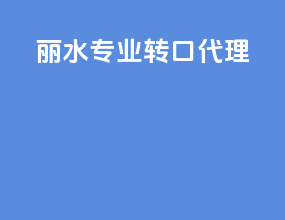 丽水专业转口代理