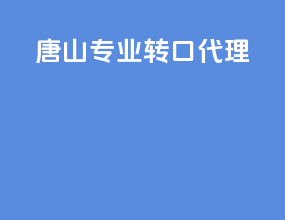 唐山专业转口代理
