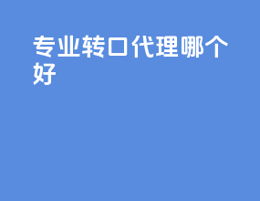 专业转口代理哪个好