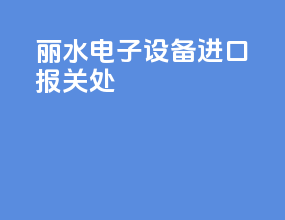 丽水电子设备进口报关处