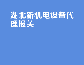 湖北新机电设备代理报关