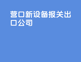 营口新设备报关出口公司