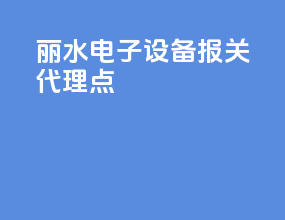 丽水电子设备报关代理点