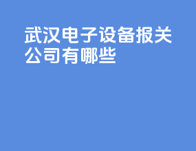 武汉电子设备报关公司有哪些