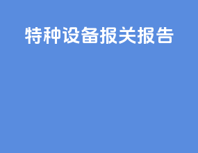 特种设备报关报告