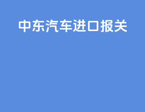 中东汽车进口报关