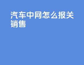 汽车中网怎么报关销售