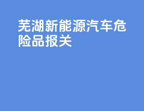 芜湖新能源汽车危险品报关