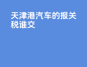 天津港汽车的报关税谁交