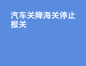 汽车关降海关停止报关
