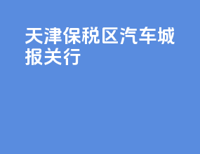 天津保税区汽车城报关行